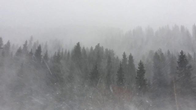 В горах. Внезапно налетел буран. смотреть онлайн