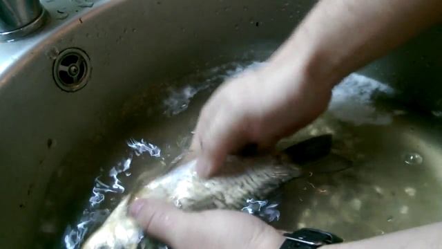 Как быстро почистить карася смотреть онлайн