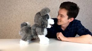 Обзор игрушки Щенок Хаски Furreal Frends ricky the treat lovin pup E0384