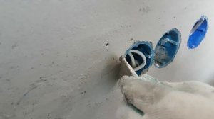 Закрываем подрозетники во время штукатурки