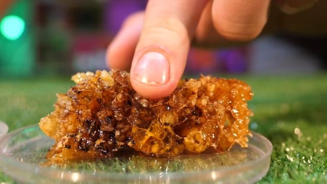 Что если ТАРАНТУЛ и ШЕРШЕНЬ УВИДЯТ ДРУГ ДРУГА? смотреть онлайн