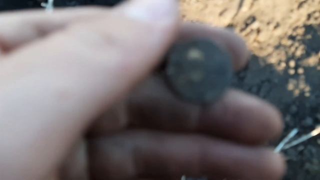 Коп по старине на старой деревне с Quest Q20 . Нашёл мою первую такую царскую монету смотреть онлайн