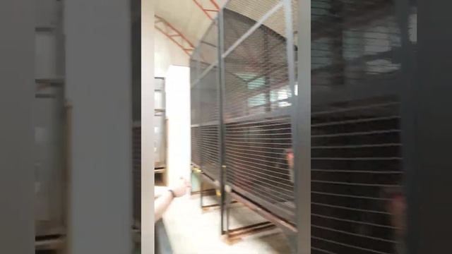 Самарский зоопарк 2020 смотреть онлайн