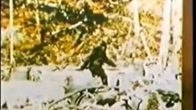 In Search Of- Bigfoot смотреть онлайн