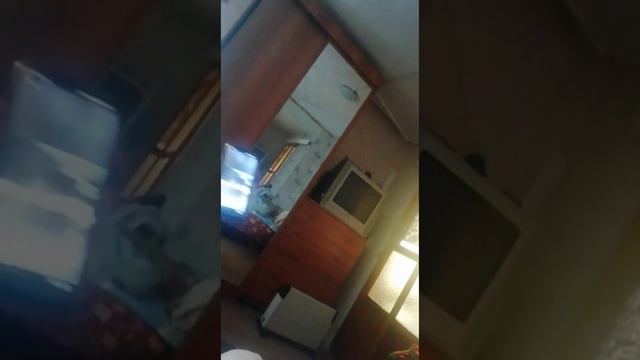 Вой ротвейлера смотреть онлайн