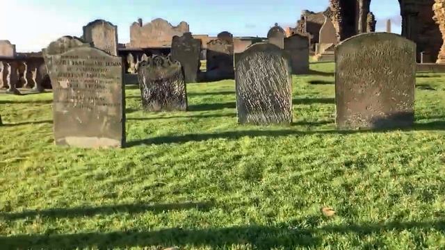 Где могилы старше 200 лет!? Они здесь... #1 смотреть онлайн