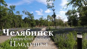 Челябинск. Ленинский район. Плодушка