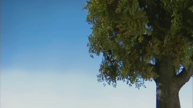 Барашек Шон / Shaun The Sheep: серия 23. Икота (Hiccups)