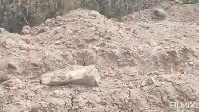 19.04.2020. Переволочная роща Старица - Набережная территория бывшей фабрики Землячка смотреть онлайн