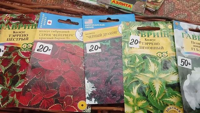 Рассада 2021 смотреть онлайн