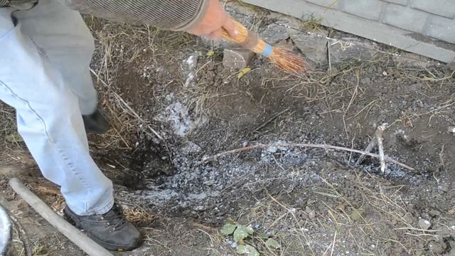 Как укрыть Виноград на зиму ПРОВЕРЕННЫЙ И НАДЕЖНЫЙ СПОСОБ