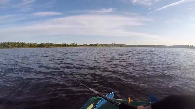 судак и окунь на поролон смотреть онлайн