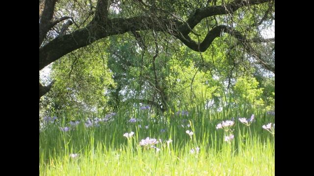 Дождинки, капельки...Оксана Полищук смотреть онлайн