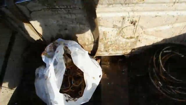 ЧИСТАЯ РЕКА рейд двенадцатый 02 05 2019 смотреть онлайн
