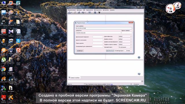 Вход в ТС клан NFC смотреть онлайн