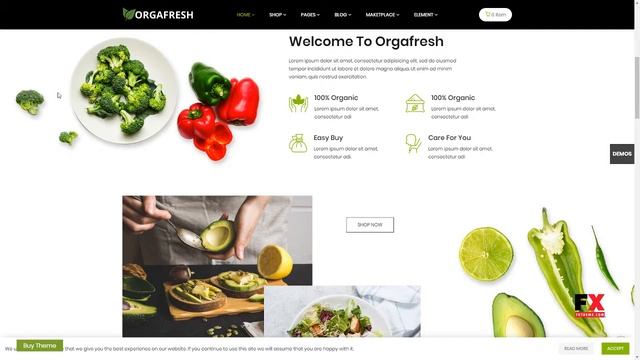 Orgafresh -“ Organic and Food WooCommerce WordPress Theme Orrell смотреть онлайн