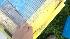 Сравнение ульев Лысонь производства Беларуси и Вологды