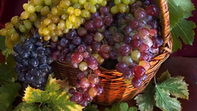 Виноград культурный при ангине смотреть онлайн