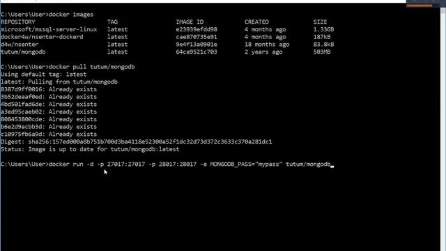 MongoDB em um container Docker смотреть онлайн