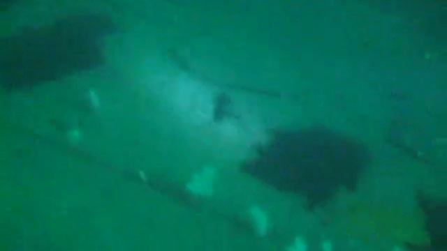 Dive at Amasis смотреть онлайн