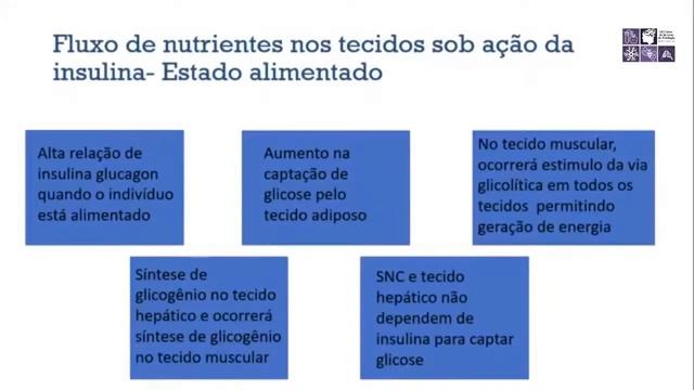 III Curso de Inverno de Fisiologia - Dia 4 смотреть онлайн