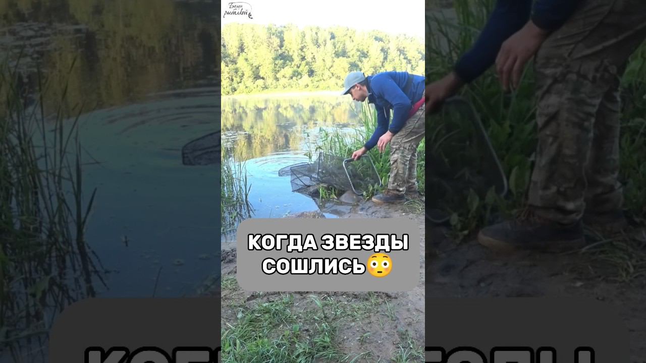 РЫБАЛКА ТОЧНО ЗАПОМНИТСЯ #рыбалка #рек #рекомендации #шортс #фидер #лещ #fishing #fish #рыба смотреть онлайн