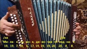 Два кусочека колбаски