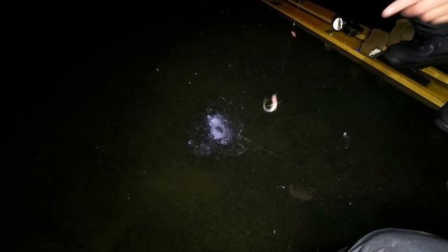 НОЧНАЯ ЭКСТРЕМАЛЬНАЯ РЫБАЛКА 2021-2022 / ЛЁД ТАЕТ НА ГЛАЗА / NIGHT EXTREME FISHING 2021-2022 / смотреть онлайн