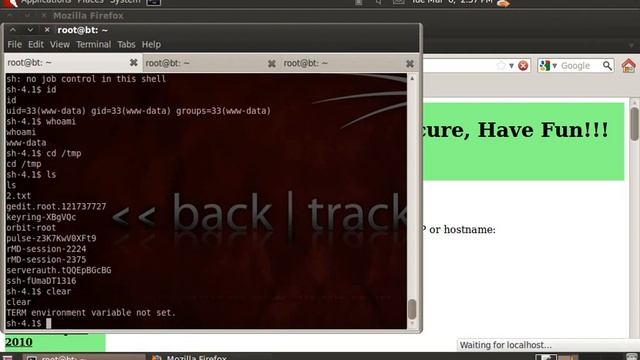 Python One Line Reverse Shell (One Request Ownage) - Mutillidae Command Execution смотреть онлайн