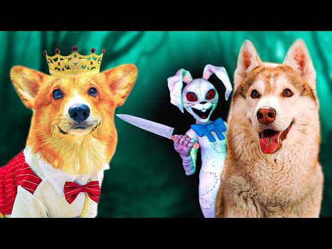 Богатый КОРГИ vs Бедный ХАСКИ! Ванесса похитила человечиху! (Корги Кекс) Говорящая собака смотреть онлайн