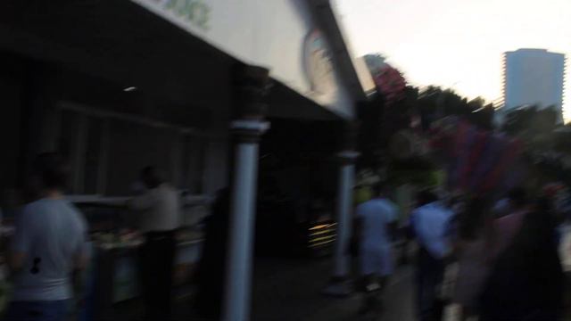 ОАЭ 🇦🇪 АРАБСКИЕ ЭМИРАТЫ 🇦🇪 ДУБАЙ ПАРК ЧУДЕС( ПАРК ЦВЕТОВ) ЧУДО В ПУСТЫНЕ 9 смотреть онлайн