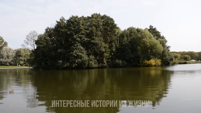 ЕЁ ЮБКА ВМЕЩАЛА СРАЗУ ДВОИХ. Жизненные истории и аудио рассказы, предательство жены смотреть онлайн