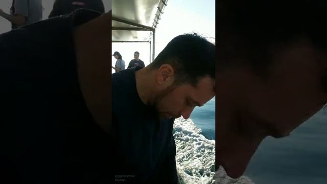 Рыбалка с катамарана в открытом море в Геленджике смотреть онлайн