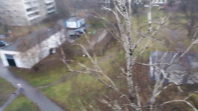 Собачий апокалипсис в Вешняках смотреть онлайн