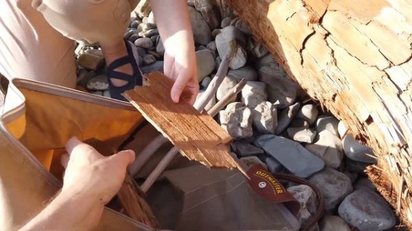 Есть ли дрифтвуд на пляже в начале октября? - Driftwood Hunters