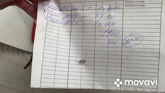 Отзыв о розоводе из Санкт-Петербурга, посадка роз в контейнер смотреть онлайн