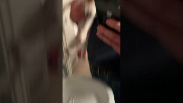 "Stanley Soap" keeping dogs clean since 2023 смотреть онлайн