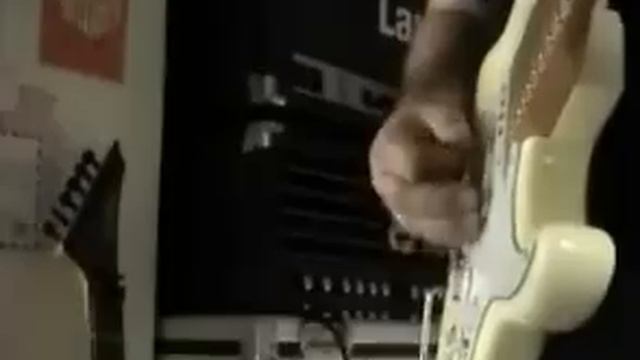 ENGL SE 670 EL34 FENDER STRAT MALMSTEEN SIGNATURE смотреть онлайн