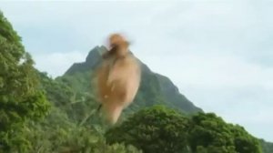 Реклама элвиннн!!! и бурундуки 3