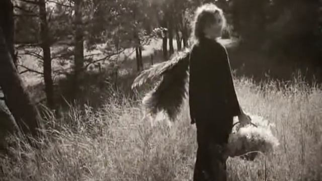 Papardes zieds смотреть онлайн