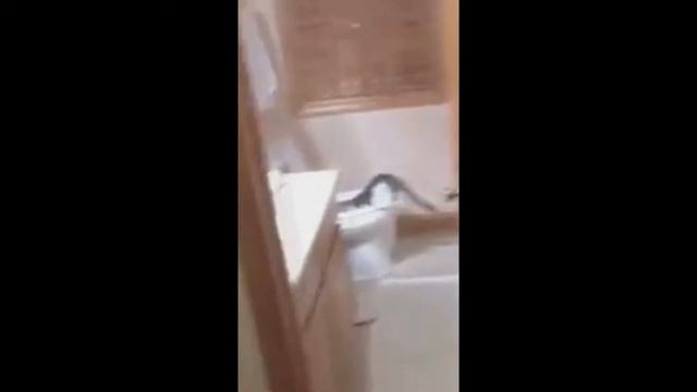 ДИМОООН МИСТЕР МАКС