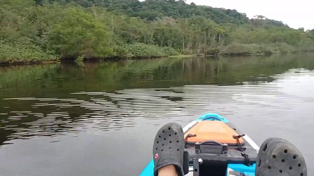 pescaria de robalo com caiaque mako 110 pedal flip barbatana rio gleba смотреть онлайн