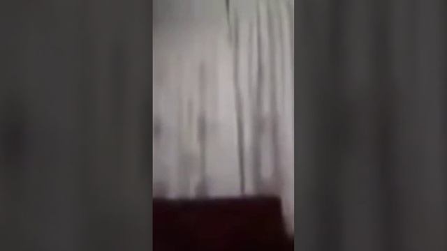 Яблоко ананасы помидоры смотреть онлайн