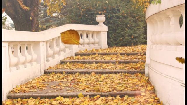 Золотая осень/ Руслан Дьяков ???