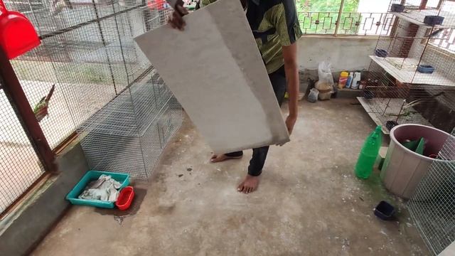 Love bird cage setup. смотреть онлайн