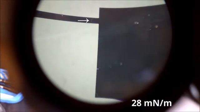 An aqueous droplet containing 0.1 mg/mL L64 in real time смотреть онлайн