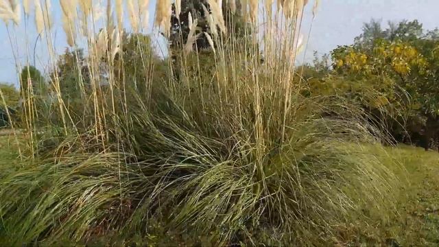 Утром на работу , вечером на праздник ! ???? смотреть онлайн