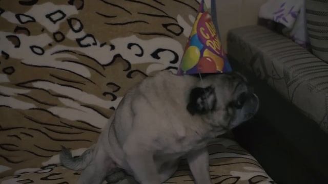 День рождение моей дочки Анюты, нам 1 годик. 19 января всех с Крещением смотреть онлайн