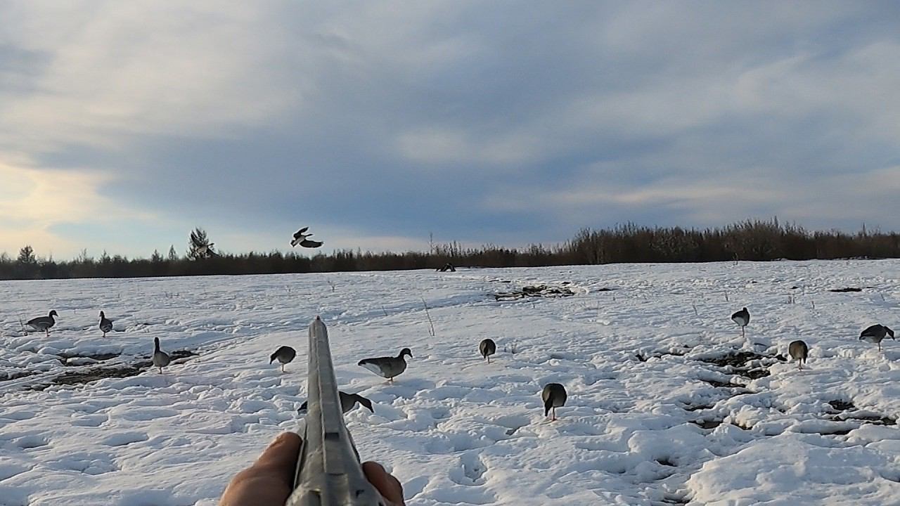 4 часть: ЗАКРЫТИЕ ОХОТЫ НА ГУСЯ В ЯКУТИИ СЕЗОНА 2024 смотреть онлайн