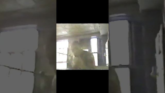 Майк Тайсон и Мухаммед Али Скорость Бокс смотреть онлайн